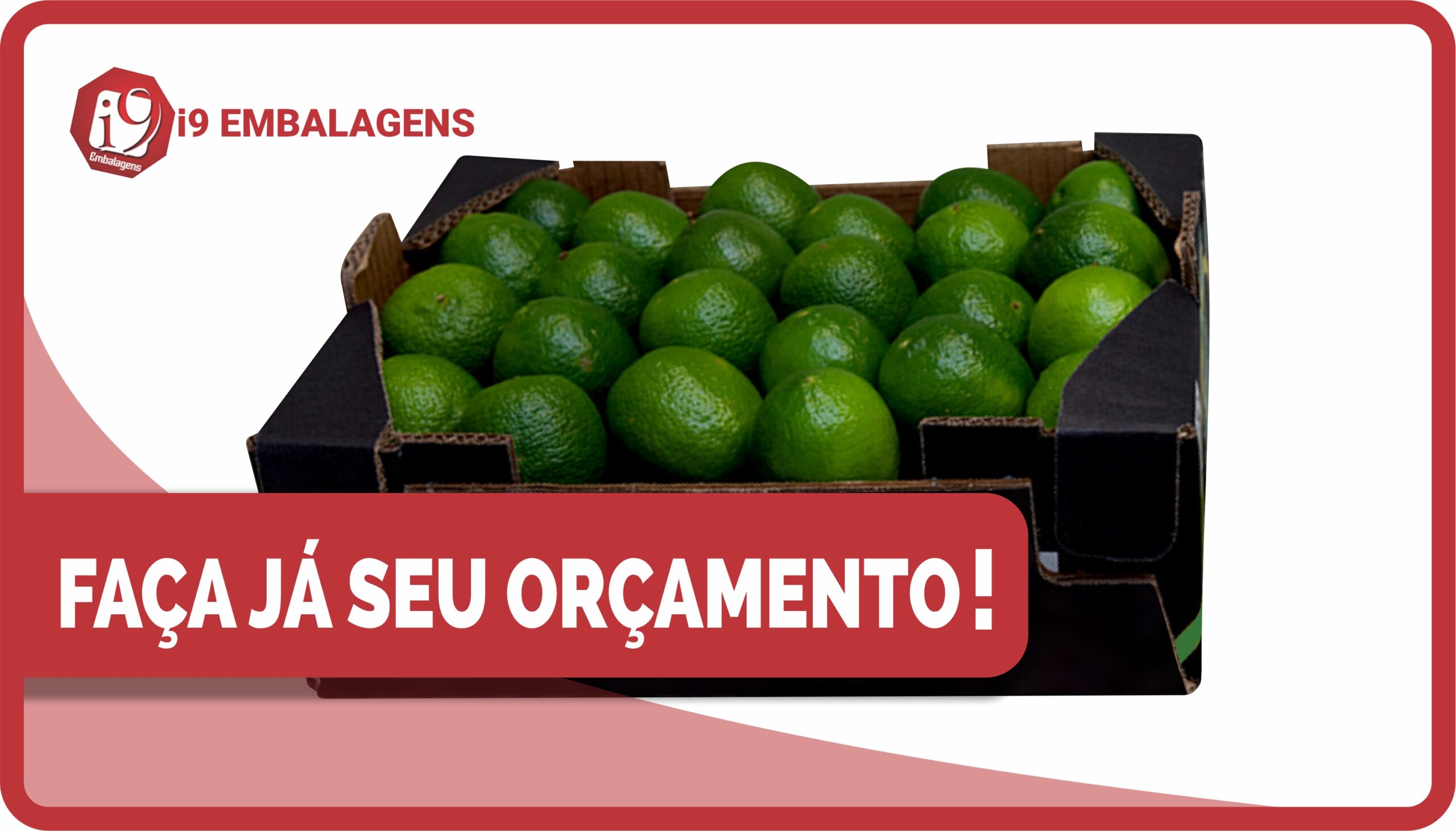 Caixa Tipo Exportação para Limão