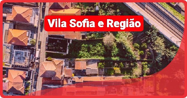 Fábrica de Caixa de Pizza em Vila Sofia