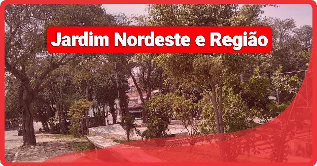 Caixa de Pizza Personalizada em Jardim Nordeste