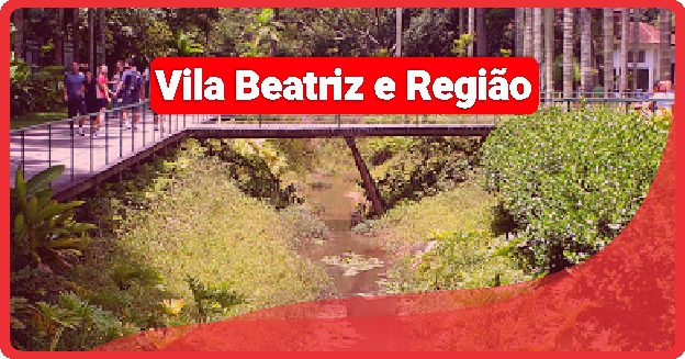 Fábrica de Embalagem de Pizza em Vila Beatriz